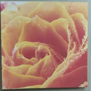 Wall Art Decor for home